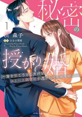 秘密の授かり婚～身を引こうとしたけど、エリート御曹司が逃がしてくれません～（1）