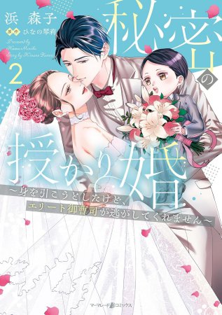 秘密の授かり婚～身を引こうとしたけど、エリート御曹司が逃がしてくれません～（2）
