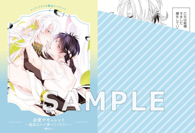 求愛サキュレント～運命なので番ってください～（単品）【予約キャンペーン対象外・10/24から受付開始】