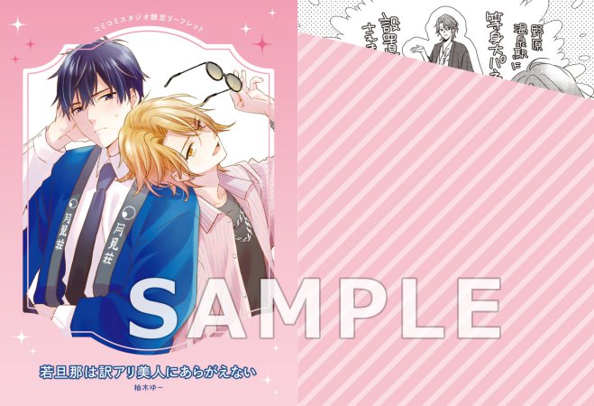 若旦那は訳アリ美人にあらがえない