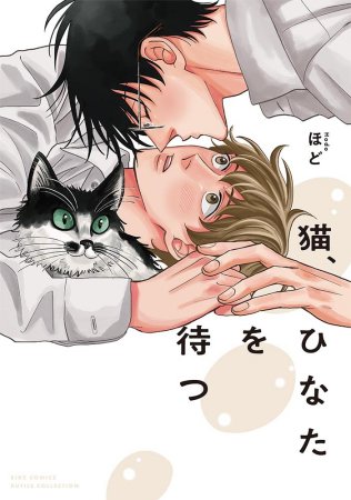 猫、ひなたを待つ（単品）