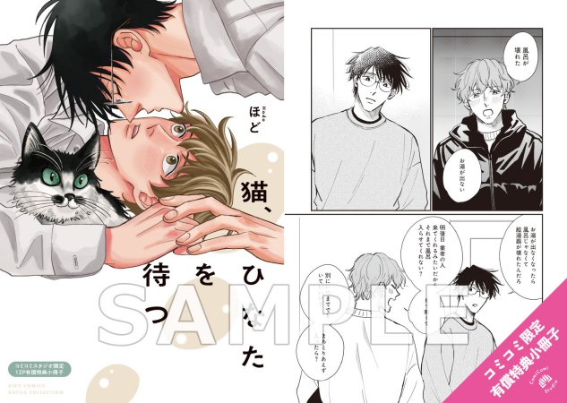 猫、ひなたを待つ【有償特典・小冊子】