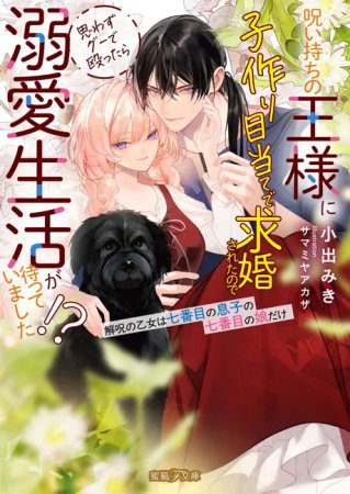 呪い持ちの王様に子作り目当てで求婚されたので思わずグーで殴ったら溺愛生活が待っていました！？　解呪の乙女は七番目の息子の七番目の娘だけ