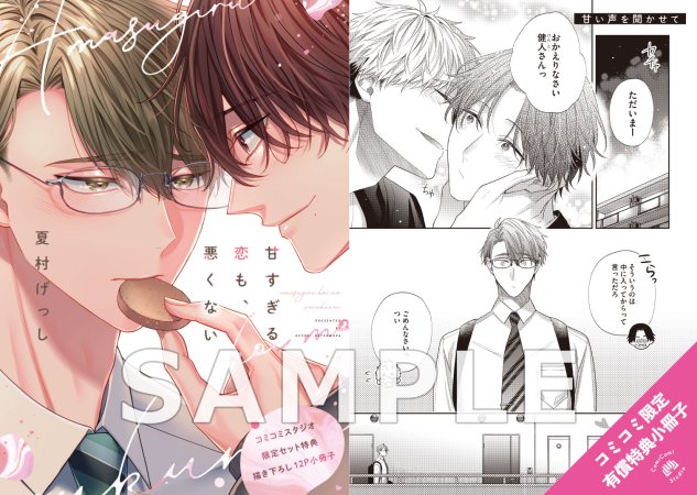 甘すぎる恋も、悪くない【有償特典・小冊子】