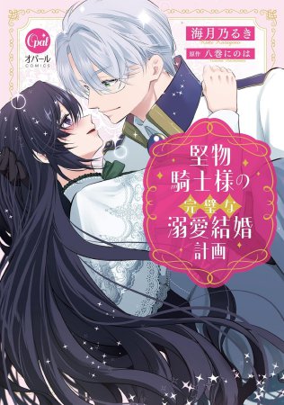 堅物騎士様の完璧な溺愛結婚計画