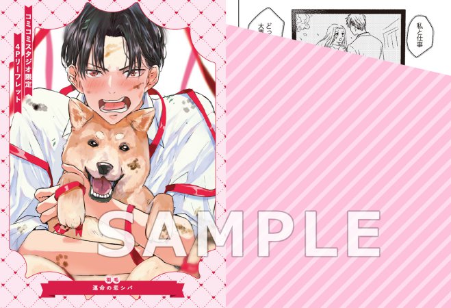 運命の恋シバ（単品）【予約キャンペーン対象外・11/5から受付開始】