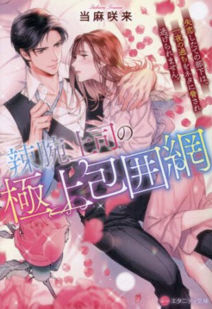辣腕上司の極上包囲網　～失恋したての部下は、一夜の過ちをネタに脅され逃げられません。～