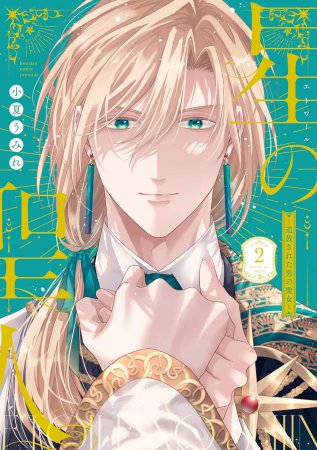 星の聖人 ～追放された男の聖女～（2）（単品）