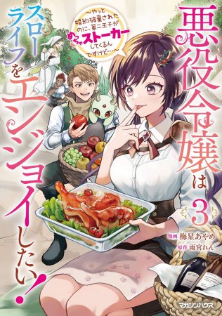 悪役令嬢はスローライフをエンジョイしたい！～やっと婚約破棄されたのに、第二王子がめっちゃストーカーしてくるんですけど…～（3）