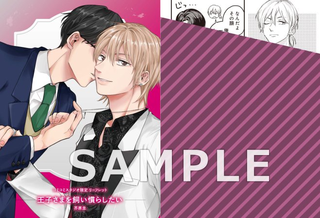 王子さまを飼い慣らしたい