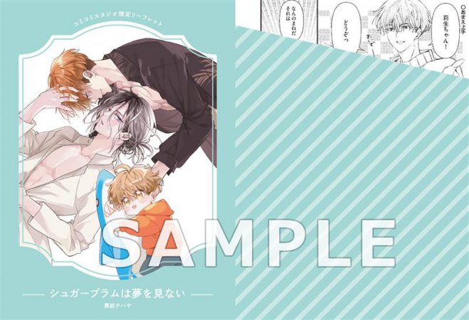 シュガープラムは夢を見ない【有償特典・小冊子】