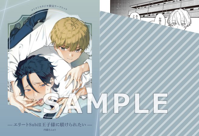 エリートSubは王子様に躾けられたい（単品）