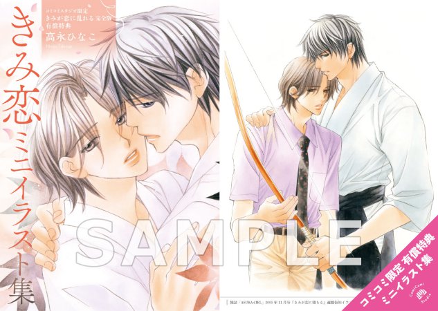 きみが恋に乱れる 完全版【有償特典・ミニイラスト集】