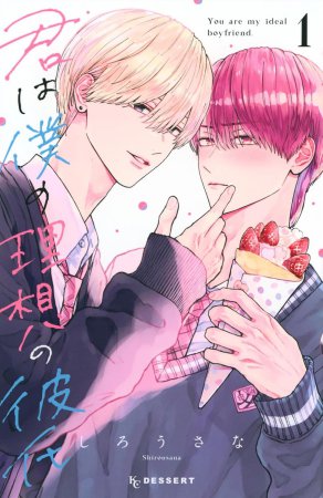 君は僕の理想の彼氏（1）