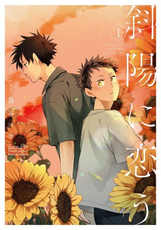 斜陽に恋う（1）