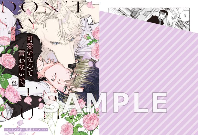 可愛いなんて言わないで。【有償特典・小冊子】