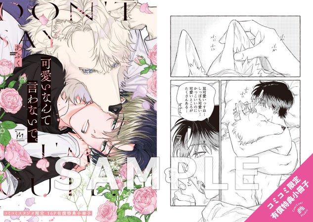 可愛いなんて言わないで。【有償特典・小冊子】