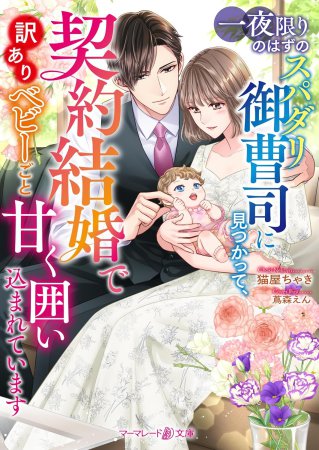 一夜限りのはずのスパダリ御曹司に見つかって、契約結婚で訳ありベビーごと甘く囲い込まれています