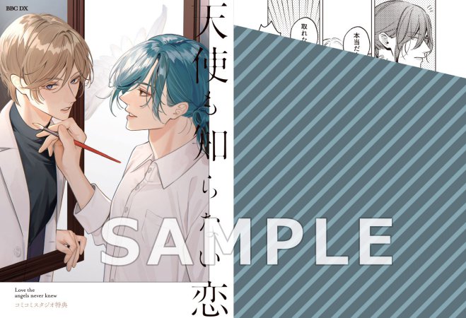 天使も知らない恋