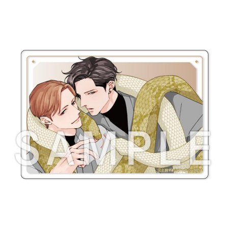 ドラマCD 恋も過ぎれば こいぷにedition【有償特典・アクリルカード】【11/11まで！早期予約キャンペーン締切】