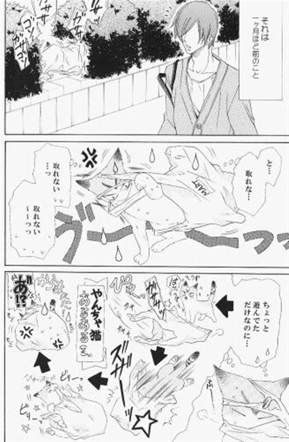 加賀ニャン!!