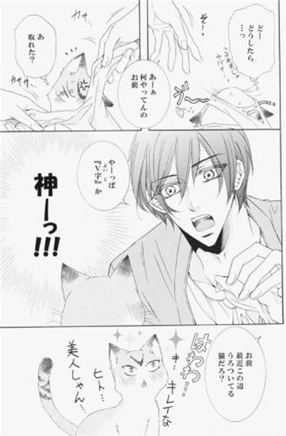 加賀ニャン!!