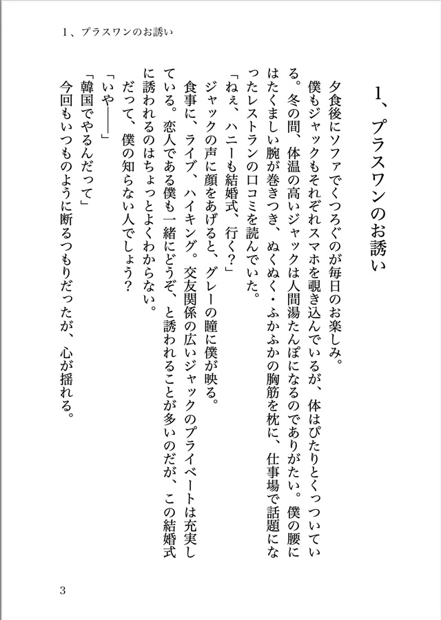 【小説】平凡な僕をハニーと呼ぶガチムチ米国人との甘い日常・韓国編