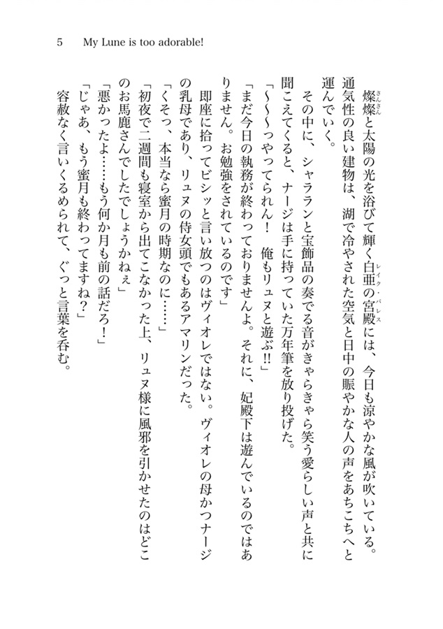 【小説】美人すぎる第四王子は嫁入り前に処女を捨てたい　番外編『俺のリュヌが可愛すぎる！』