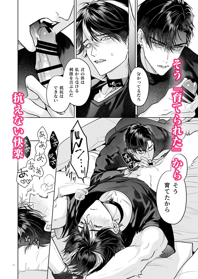 完全なる一族 楽園の箱（1）