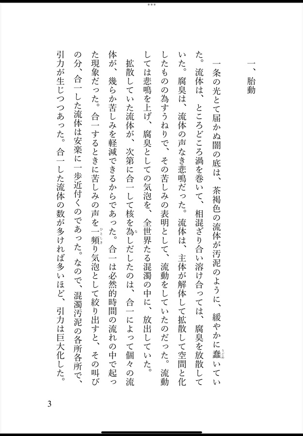 【25秋サイン・受注】【小説】恁麼