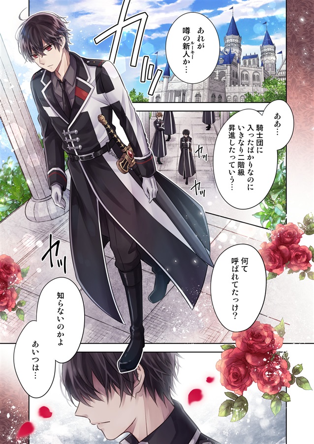 【25秋サイン・受注】新星のシキ