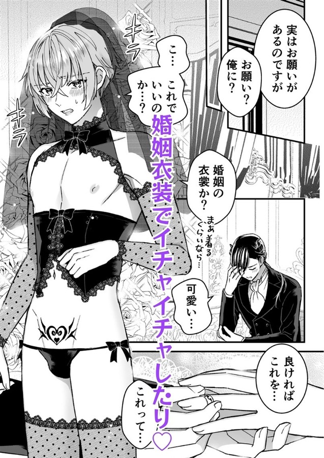男騎士だったけど鬼の宰相の愛玩動物(ペット)になりました（3）