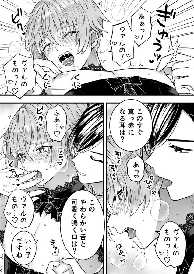 男騎士だったけど鬼の宰相の愛玩動物(ペット)になりました（3）