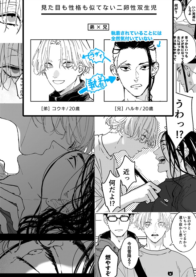 似てない双子BLをまとめた本