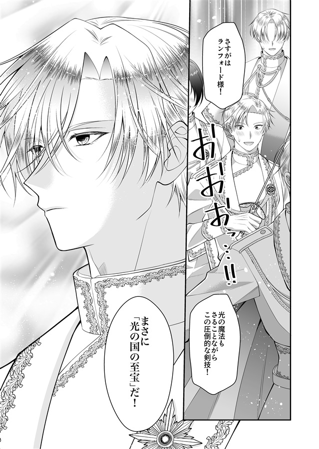 光の騎士を貶める