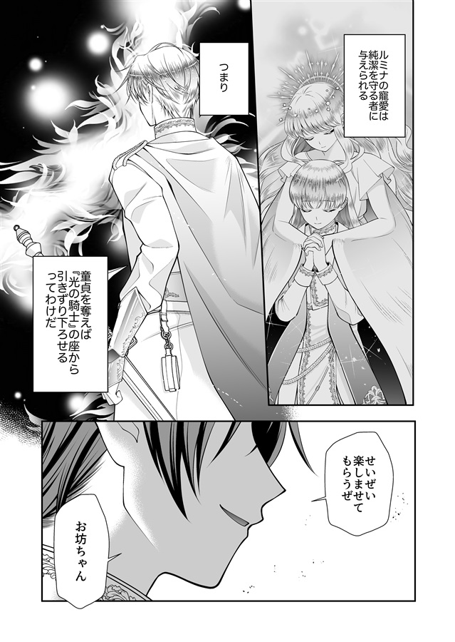 光の騎士を貶める