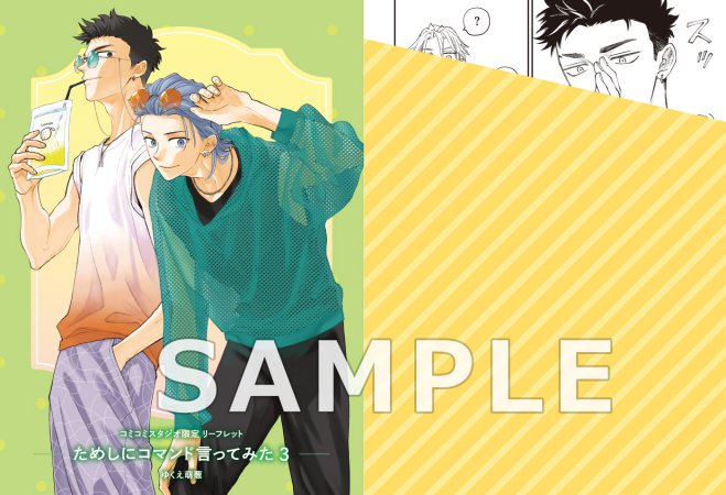 ためしにコマンド言ってみた（3）【有償特典・小冊子】 | ボーイズラブ