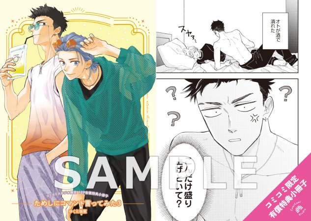 ためしにコマンド言ってみた（3）【有償特典・小冊子】 | ボーイズラブ