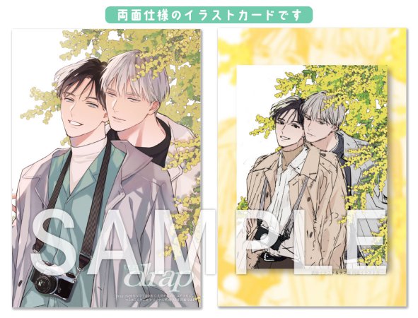 ｄｒａｐドラ2026年3月号