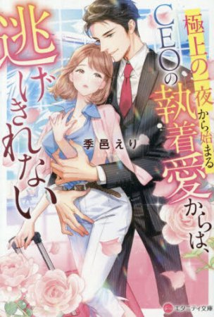極上の一夜から始まるCEOの執着愛からは、逃げきれない