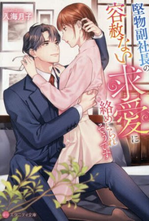 堅物副社長の容赦ない求愛に絡めとられそうです