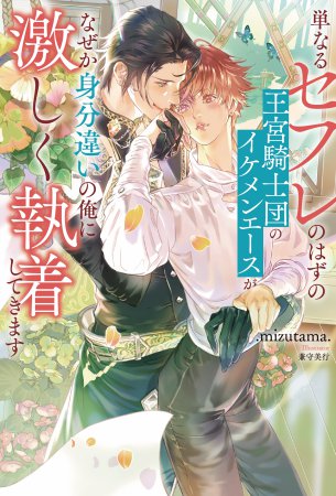 単なるセフレのはずの王宮騎士団のイケメンエースがなぜか身分違いの俺に激しく執着してきます