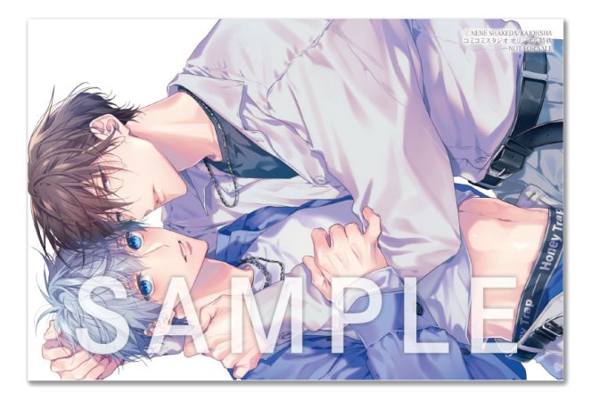 ＧＵＳＨ ガッシュ2026年3月号