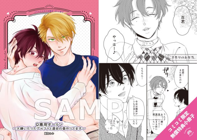 Ω専用ダーリン～大嫌いだったアルファと運命の番やってます～（単品）