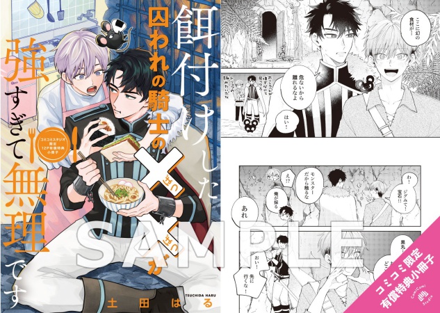 餌付けした囚われの騎士の××が強すぎて無理です【有償特典・小冊子】
