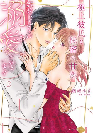 極上彼氏と秘密の甘恋～出会ってすぐに溺愛されています～（2）