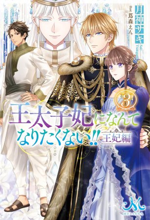 王太子妃になんてなりたくない！！　王妃編（3）