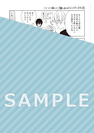 【特装版】理想的恋愛の条件（4）（単品）