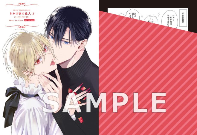 きみは夜の住人（2）