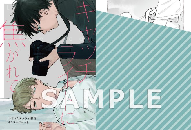 キャッチライトに焦がれて【予約キャンペーン対象外・2/2から受付開始】